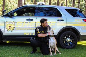 Honoring Deceased K-9 Hercules (Herc)