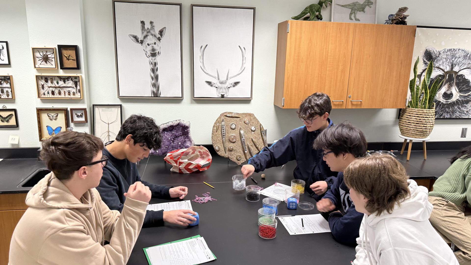 lab