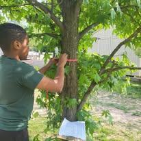 Student Measures Tree
