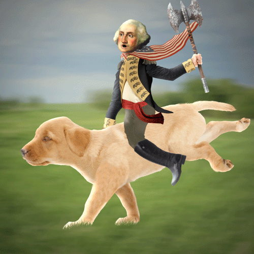 Washington on a dog