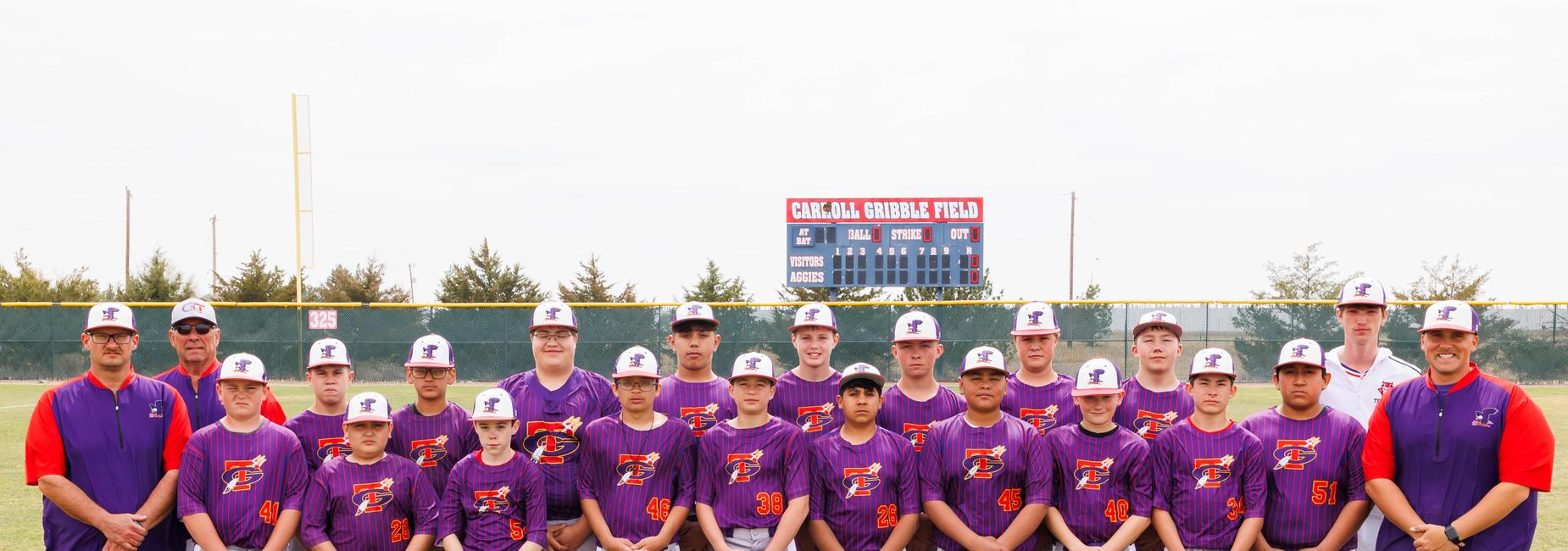 Team of young baseball players posing in purple uniforms on a field.