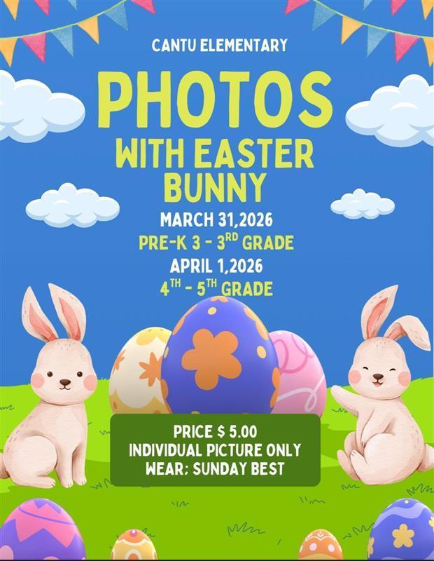 Easter Bunny Pictures