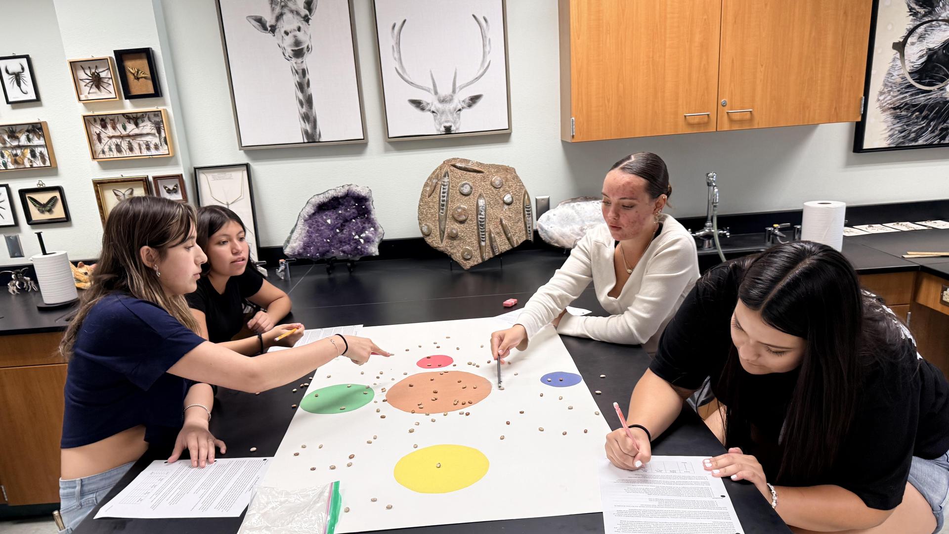 students doing a lab