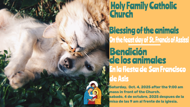 Blessing of Annimals on the Memorial of St Feast Featured Photo