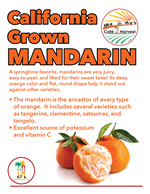 California Grown Mandarin