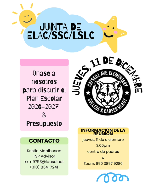 Flyer Spanish