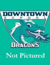 Placeholder for an image
