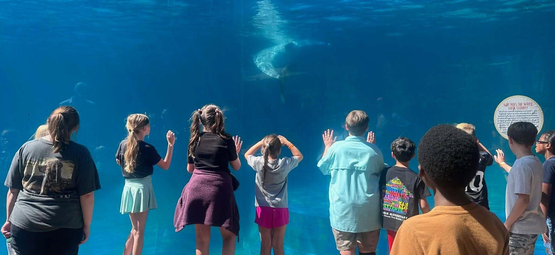 Aquarium