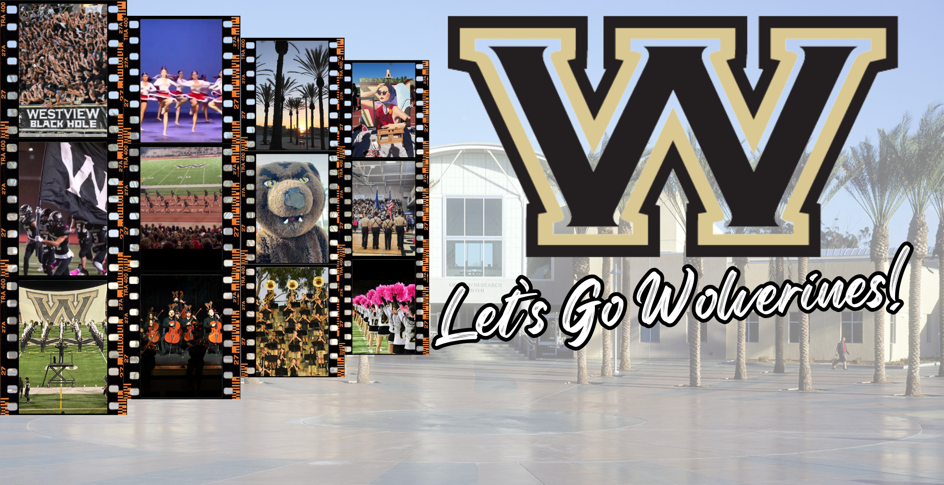 Let's Go Wolverines!
