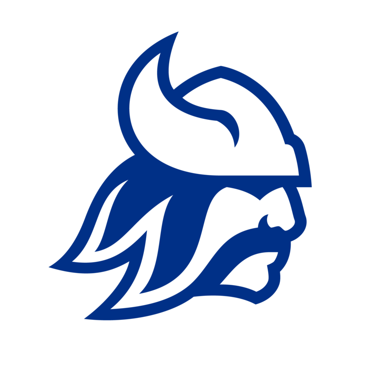 Blue Viking head