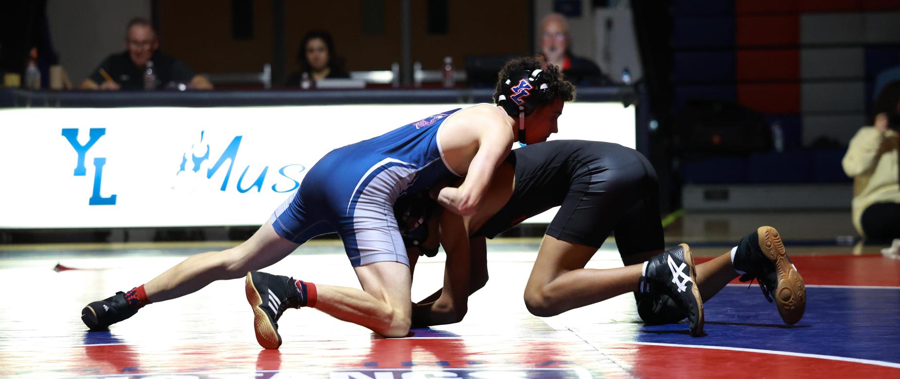 wrestle