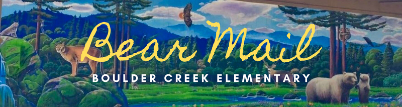 Bear Mail Logo