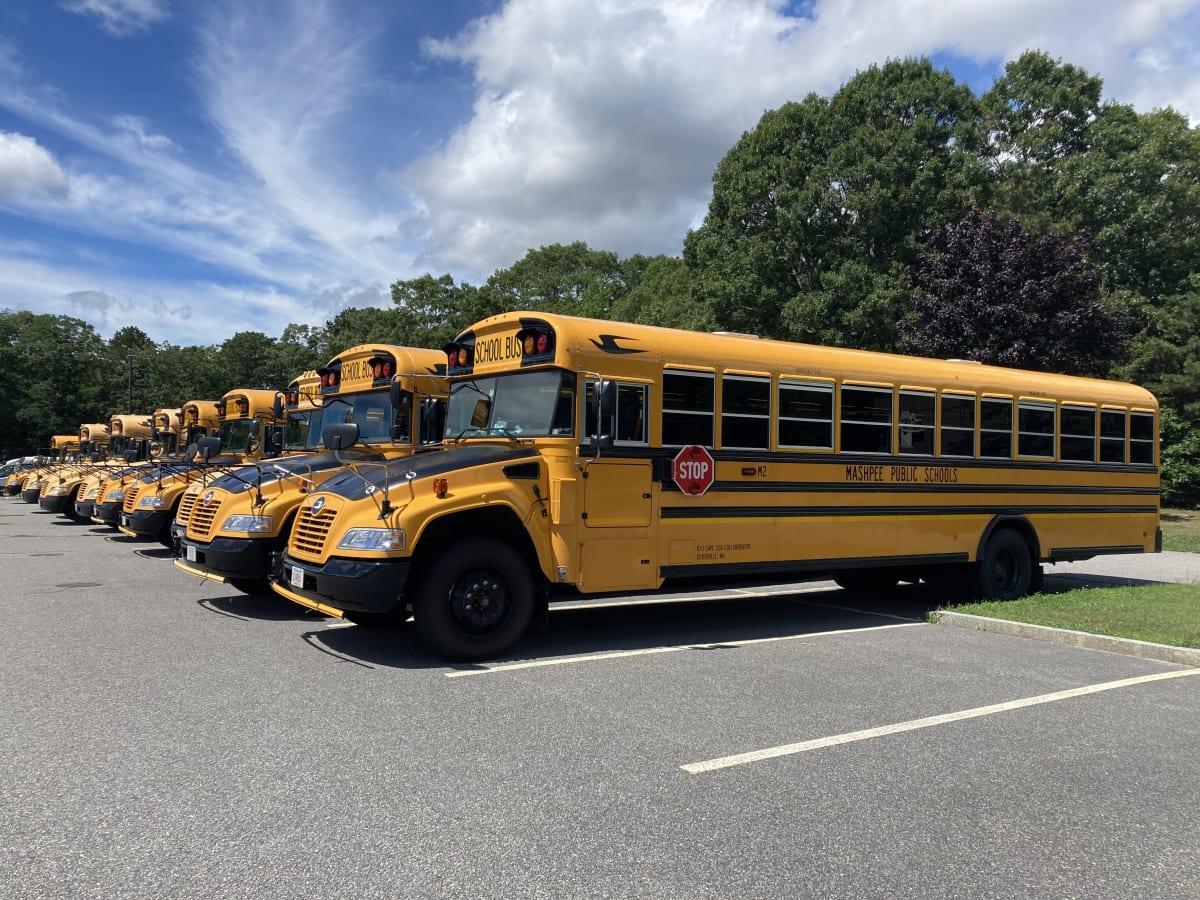 school buses