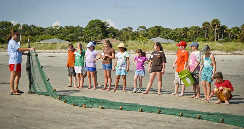 Barrier Island