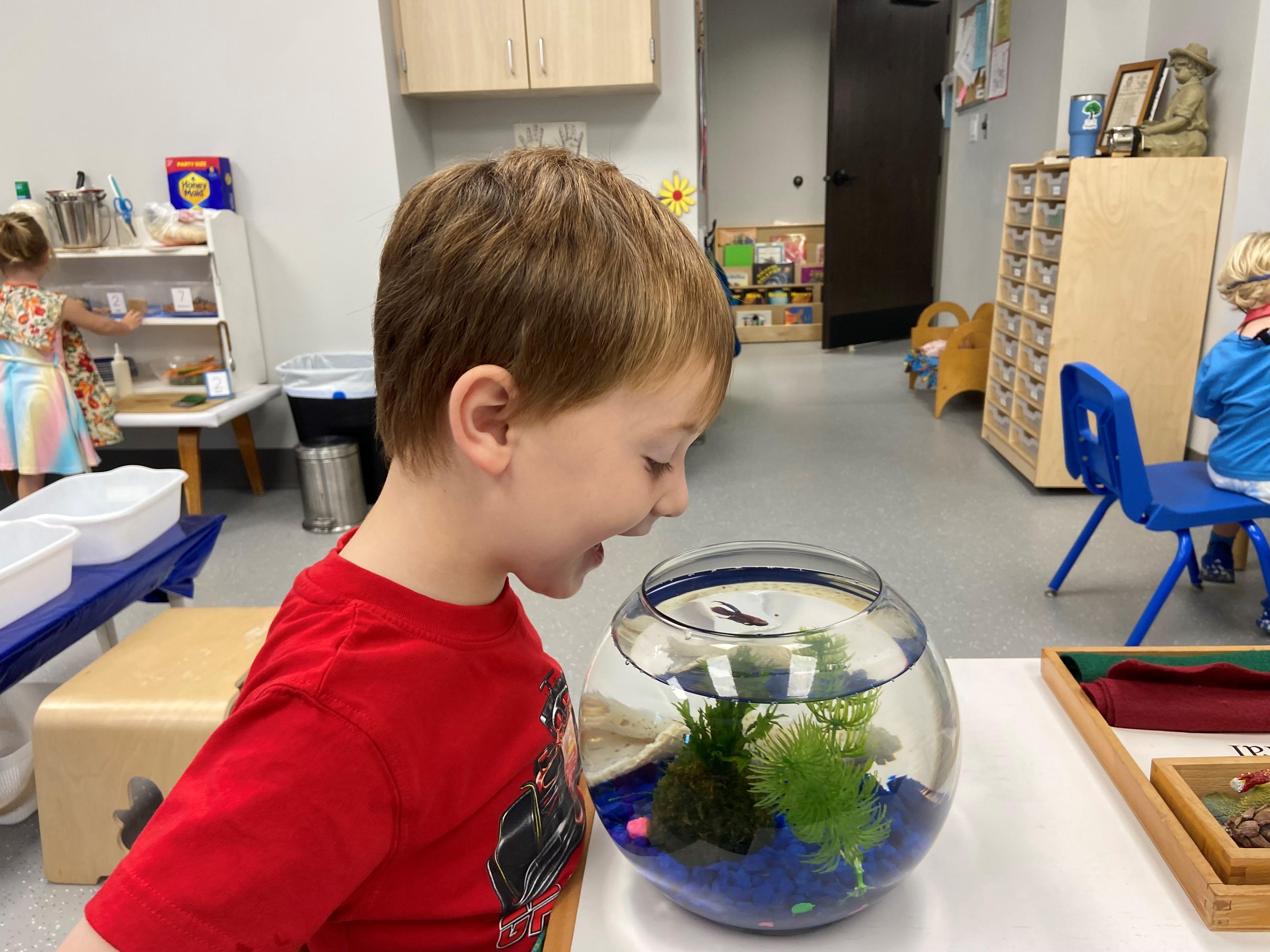 Student feeding fish