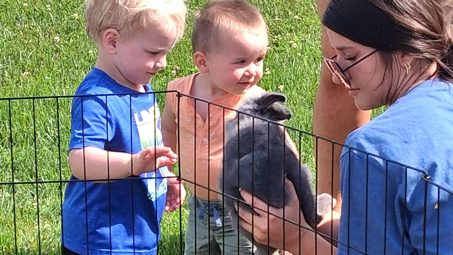 Petting Zoo Day