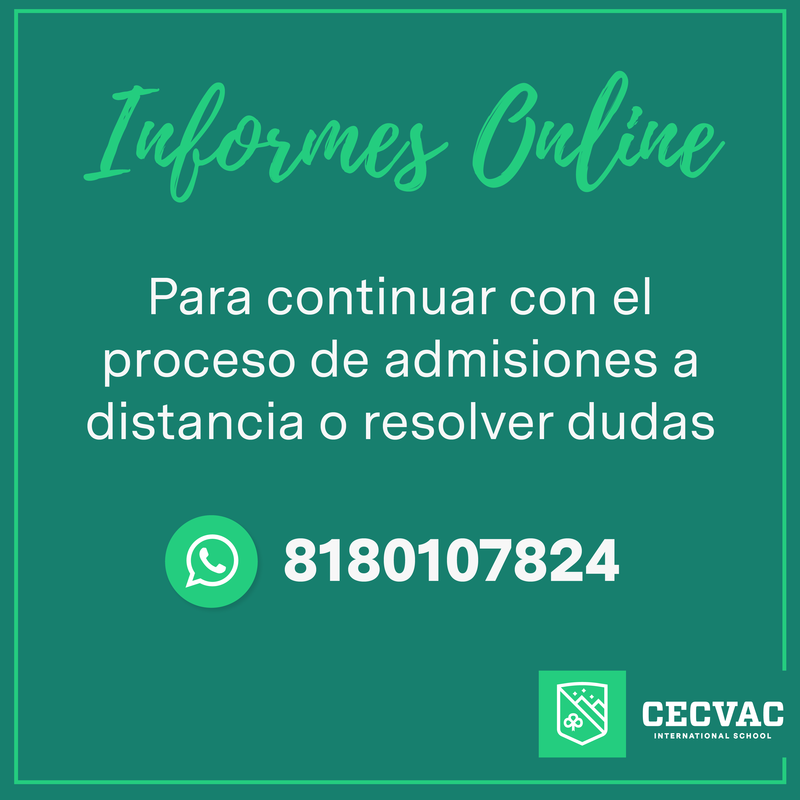 Informes Online Featured Photo