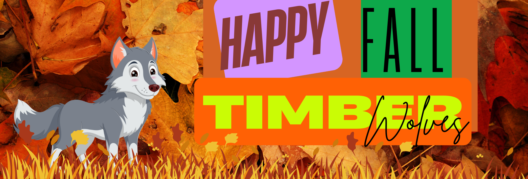 Happy Fall TWolves