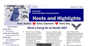Hoots and Highlights screenshot of newsletter header