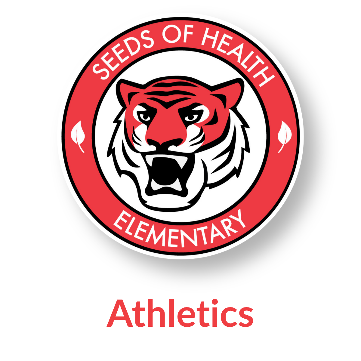 Athletics at SOHE