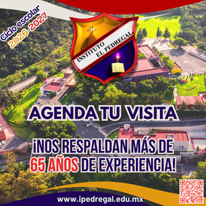 agenda tu visita.png