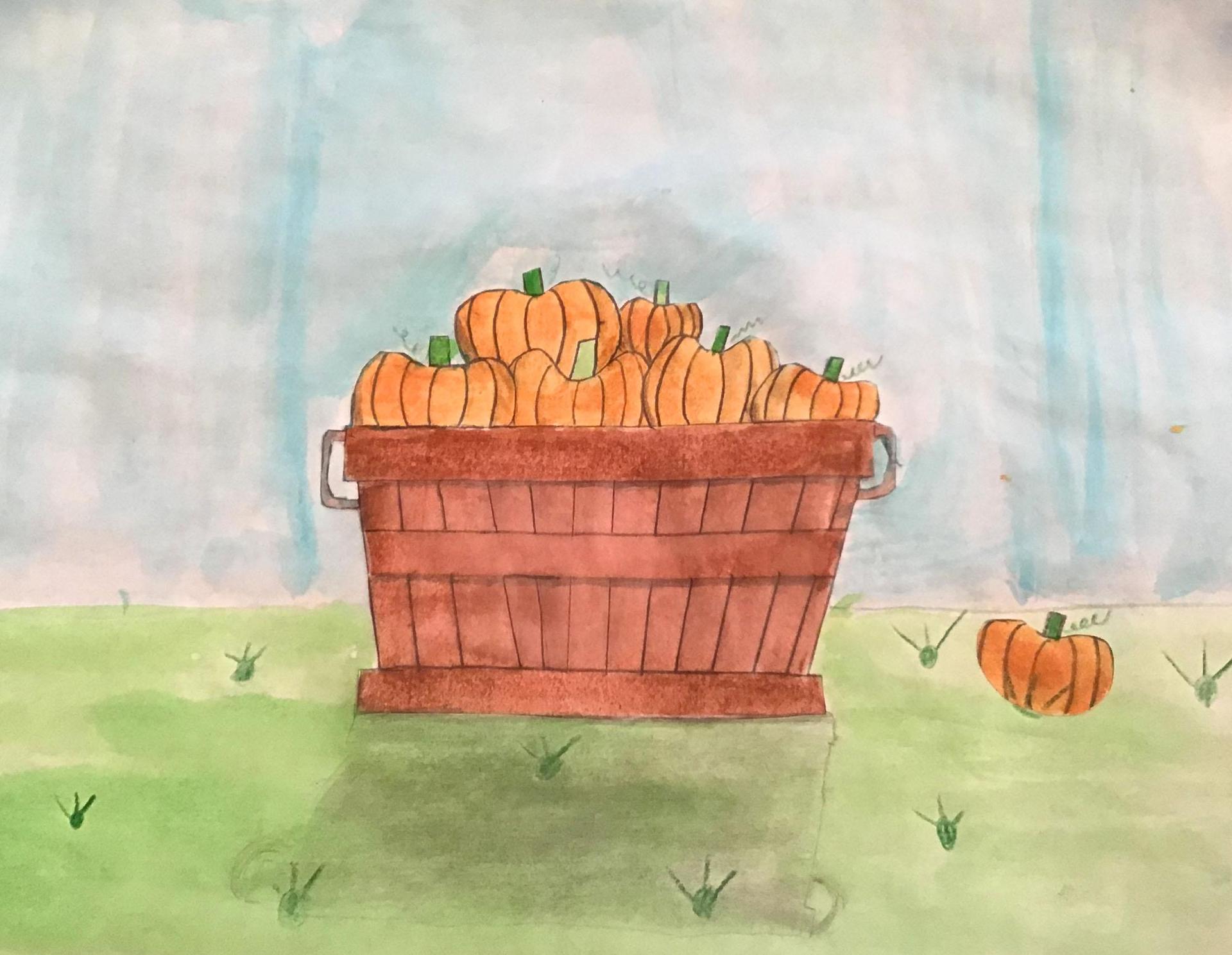 pumpkins in a basket