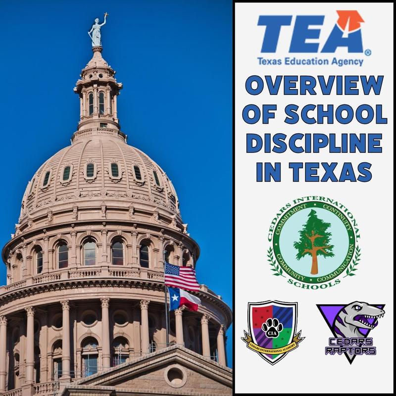 Discipline Overview