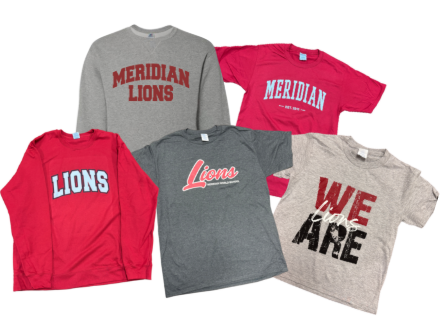 Shirts and sweatshirts in gray and red that say "lions"