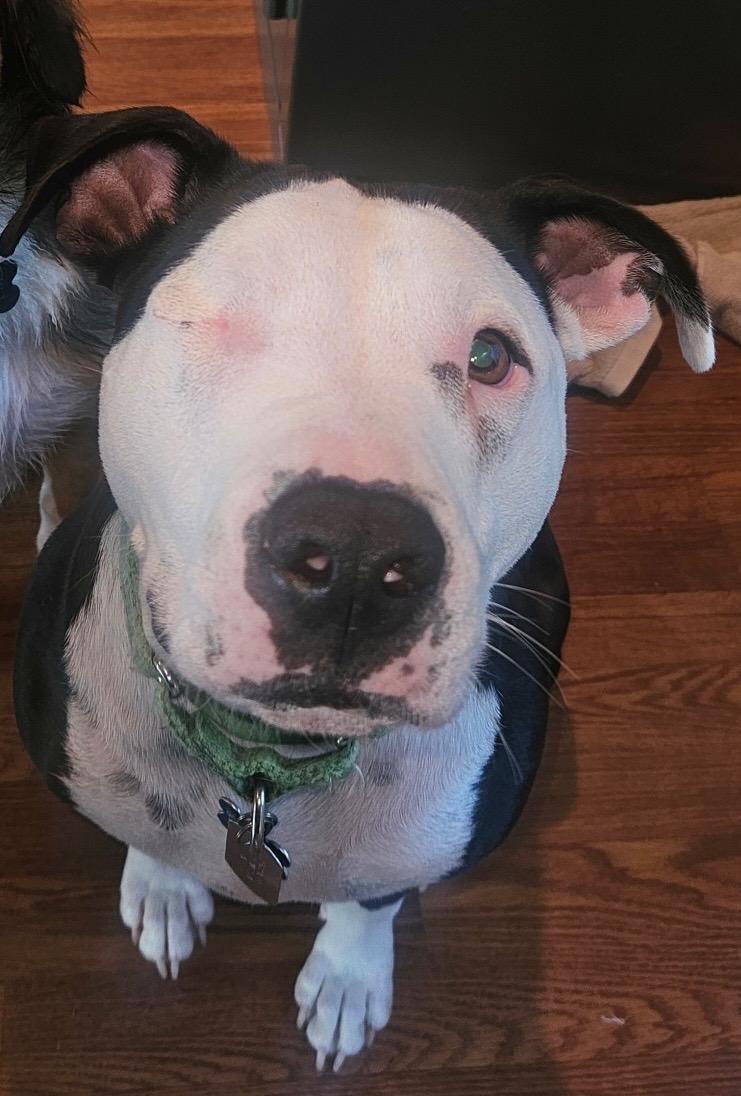 Duke