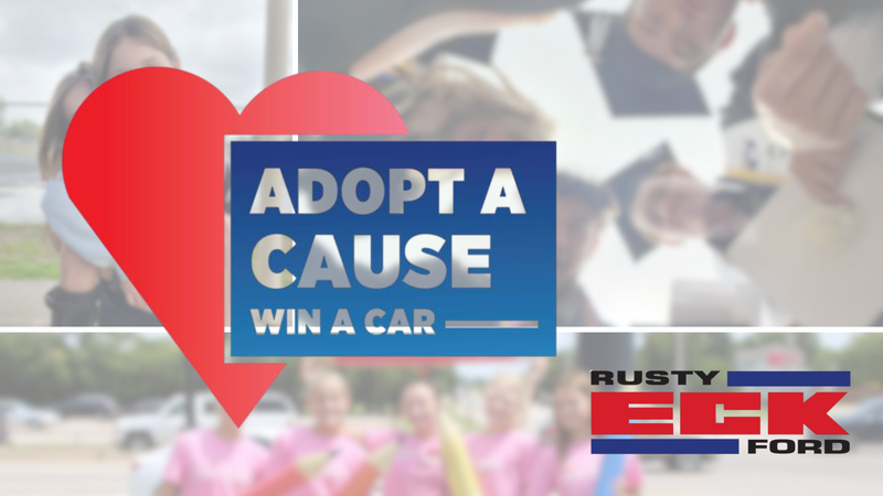 HEF adopt a cause collage with logos 25