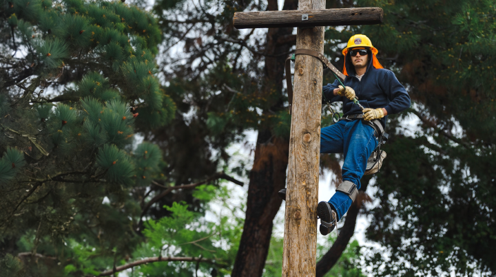 Powerline Technician Student