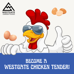 Become a Westgate Chicken Tender