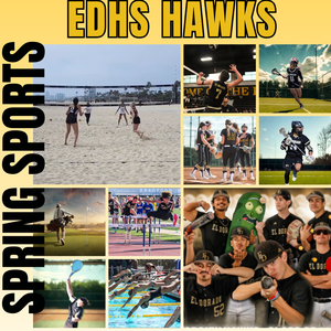 Spring Sports