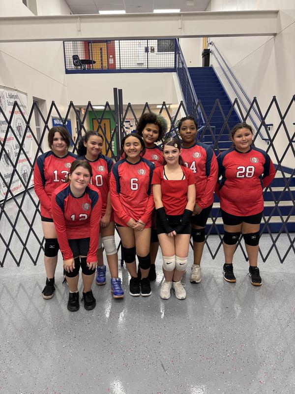 Picture of the LHS girls volleyball team.