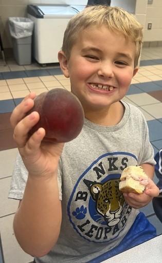 Farm to School