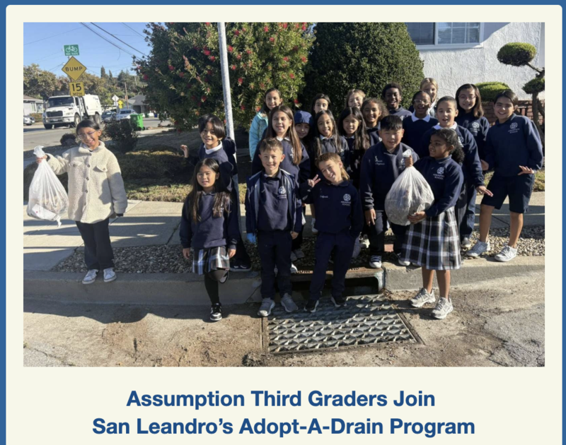 Third Graders in Action