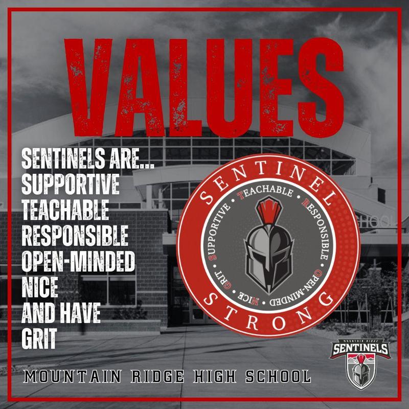THE ANATOMY OF A SENTINEL: OUR CORE VALUES