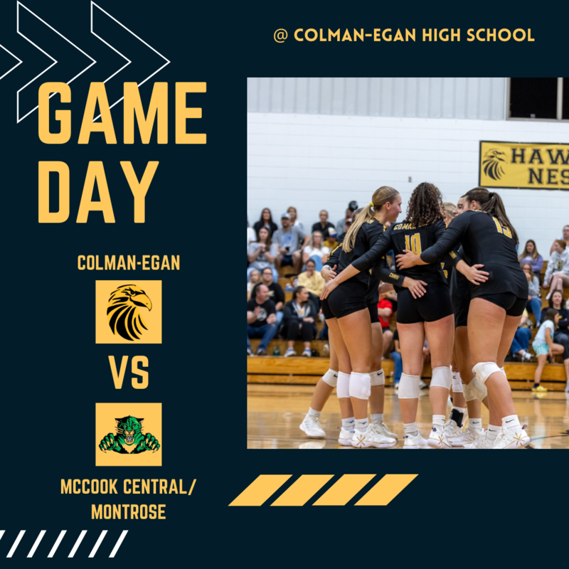Hawks v. MCM