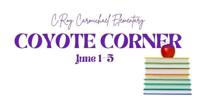 coyote corner 6.1