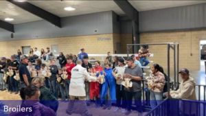 AG project submitted by students.