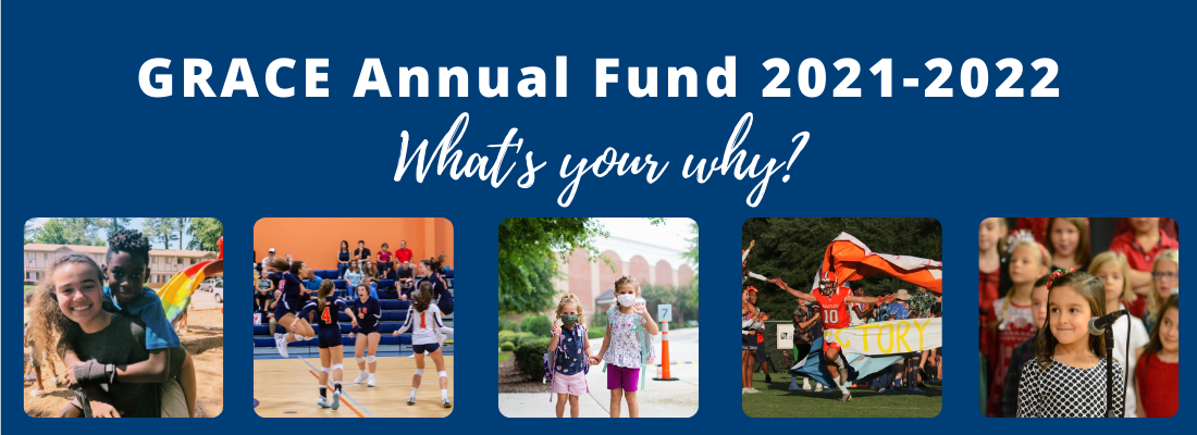 annual fund