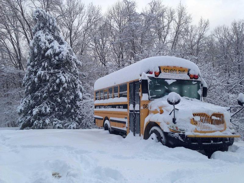 A snow-covered school bus parked in a winter landscape with trees.