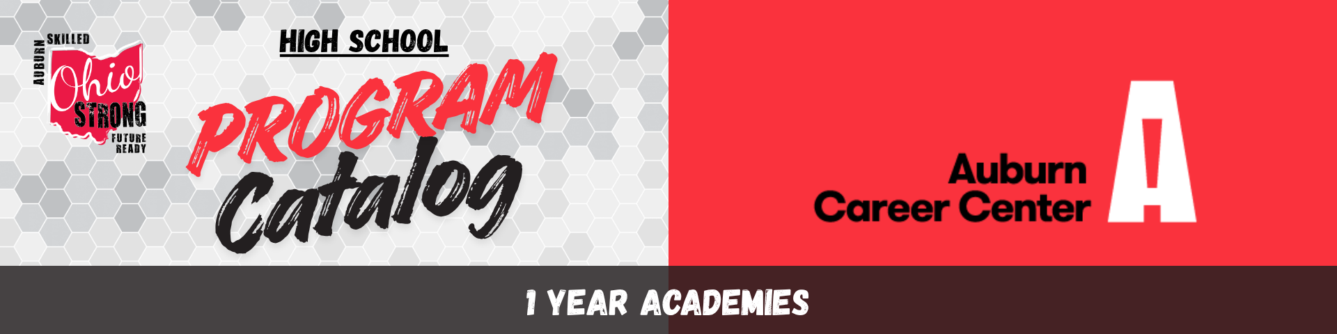 1-Year Academies