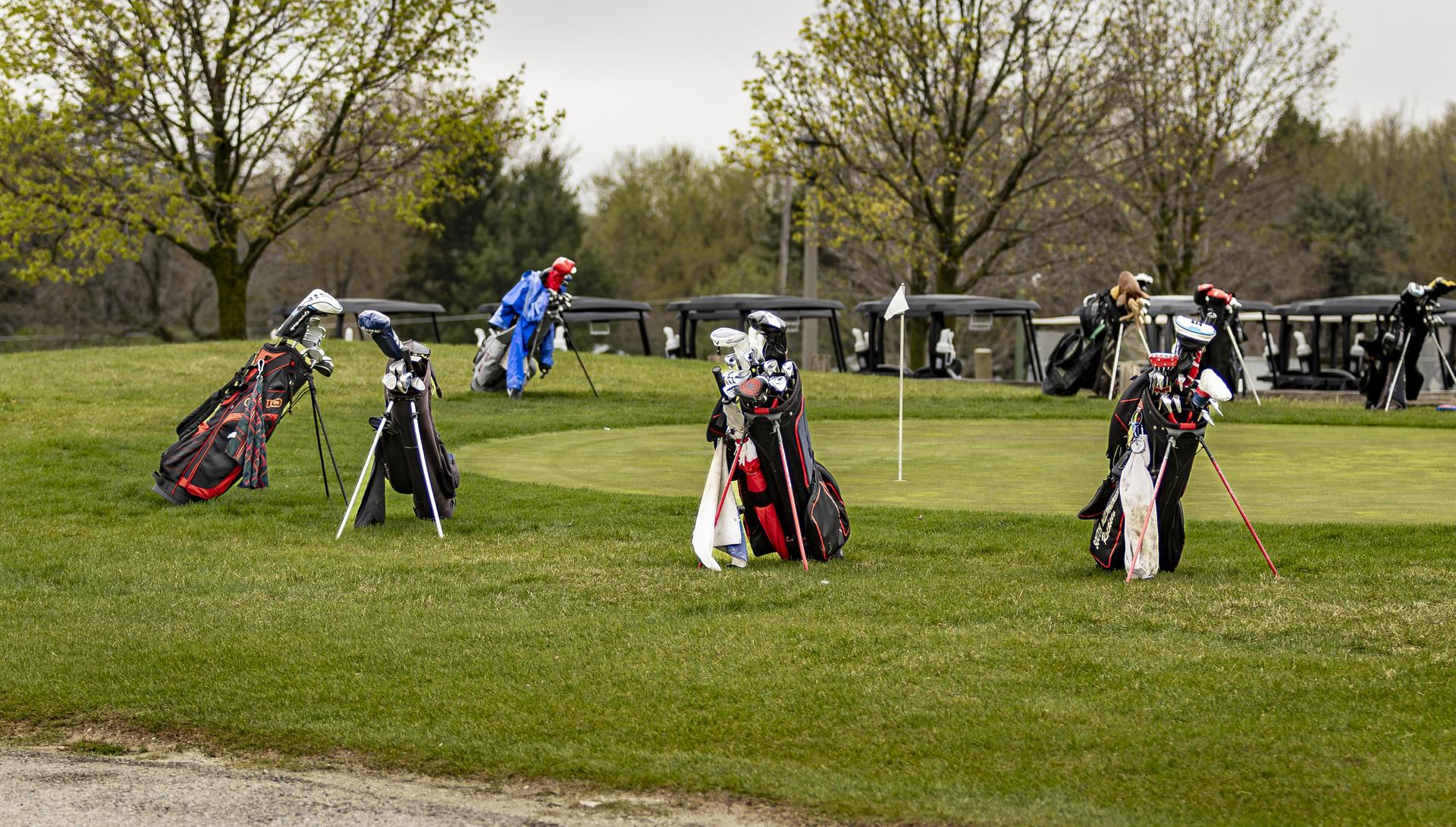 Golf bags sitting in the grass