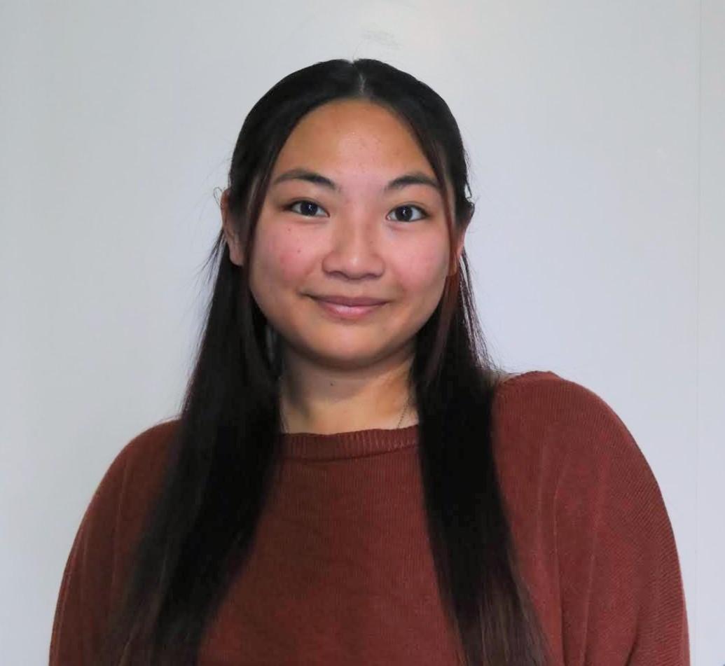 DLucent-ESS Lead Assistant