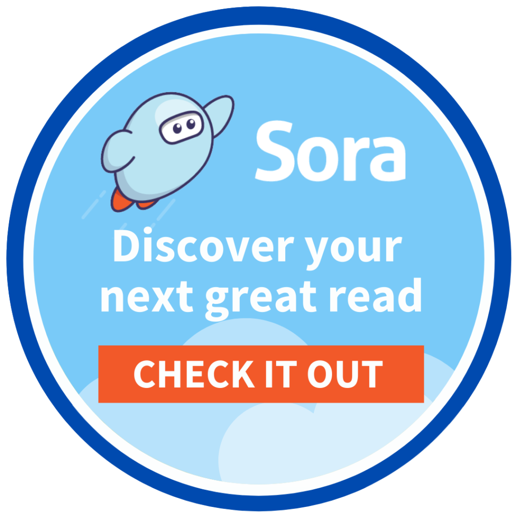 Login to Sora