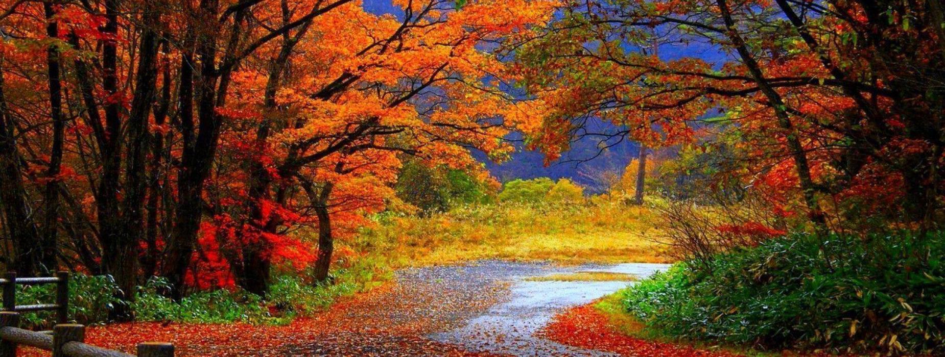 fall