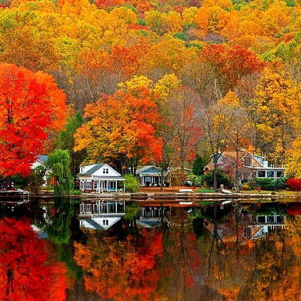 Fatima (Abeer)Abou-Abah's Profile Photo