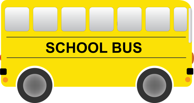 bus