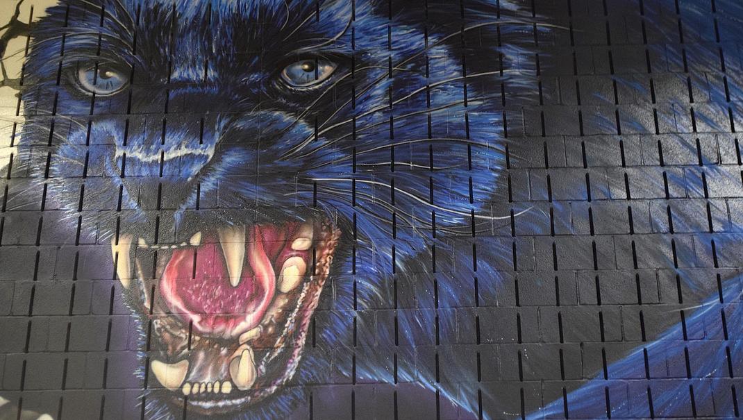 A close-up of a fierce blue panther mural with sharp teeth and intense eyes.